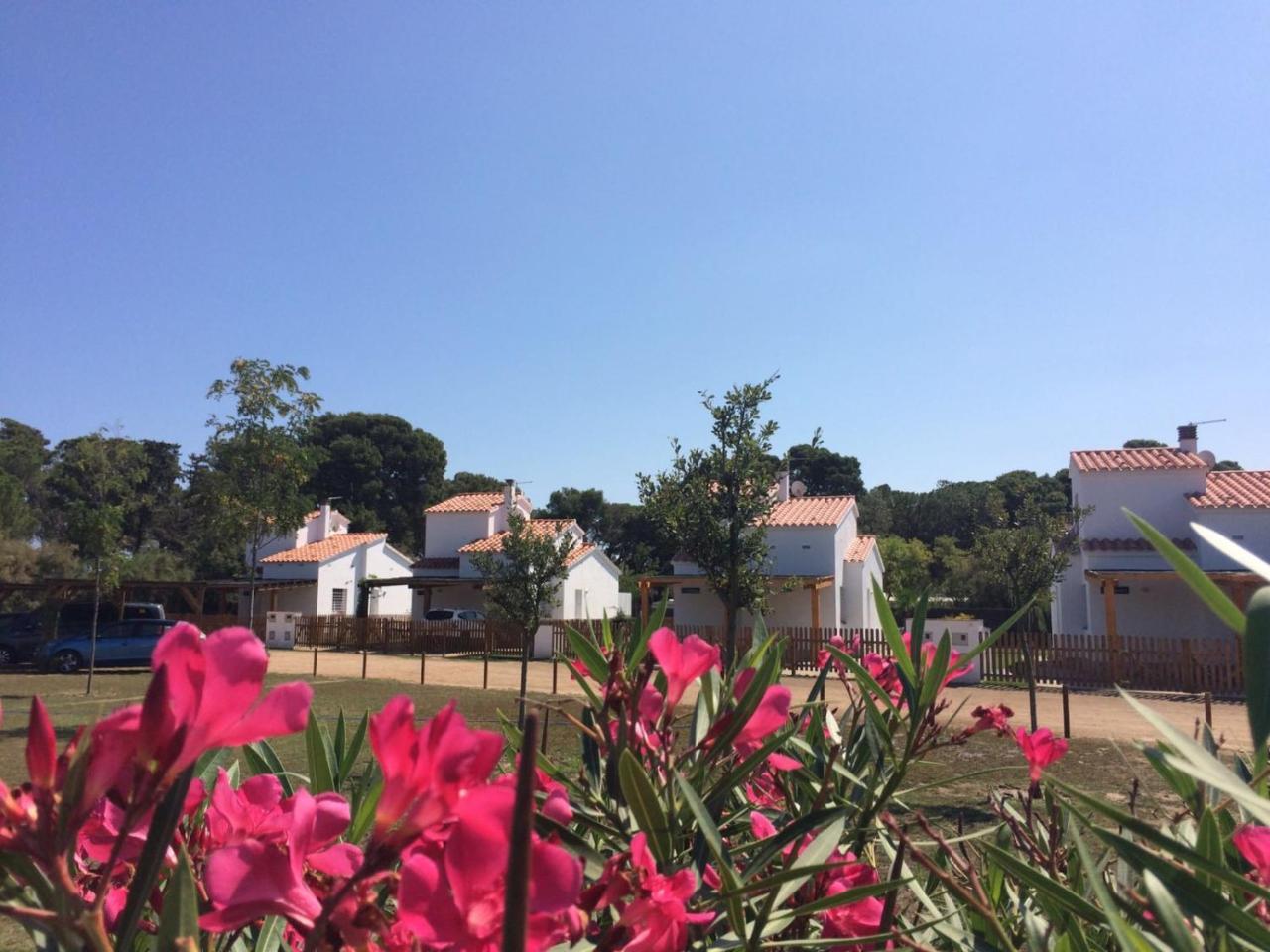 Villas Empuries, Garden & Private Pool Sant Marti d'Empuries Exterior photo